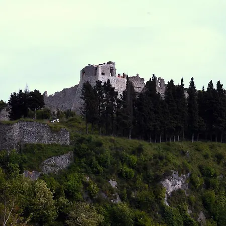 Tillesia * Aiello Calabro